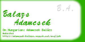 balazs adamcsek business card